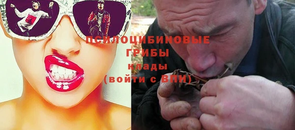 гидра Алзамай