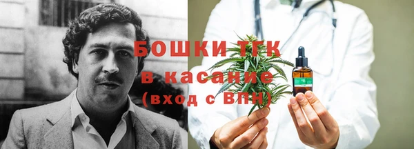 гидра Алзамай