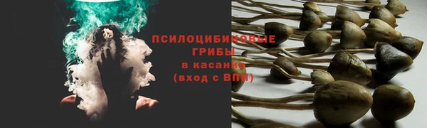 мескалин Михайловск