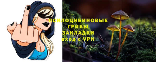 бошки Абинск
